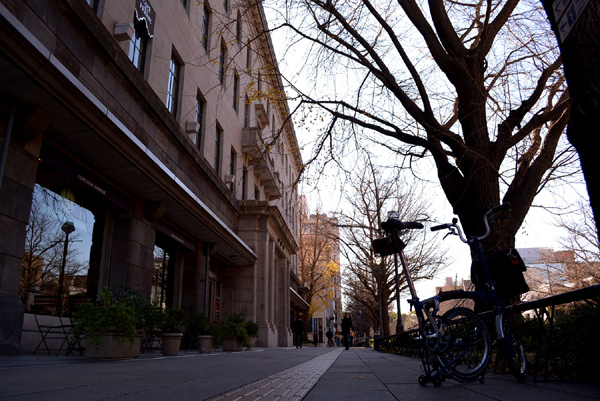 131225 nihon DSC_0228.jpg